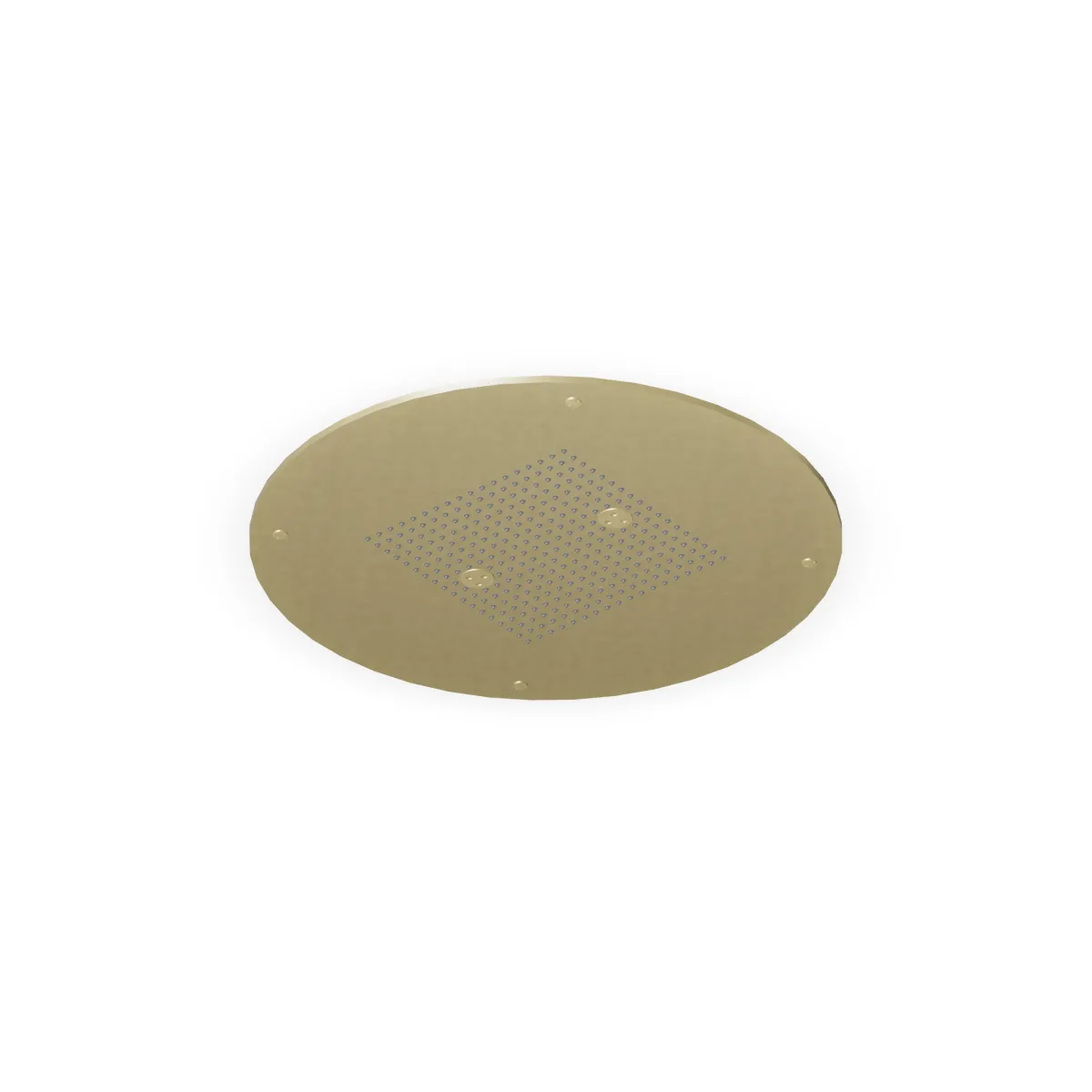 カジュッタ Z94281.XP31.webp